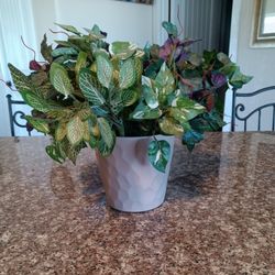 Decorative, Artificial, Plant, Plants 