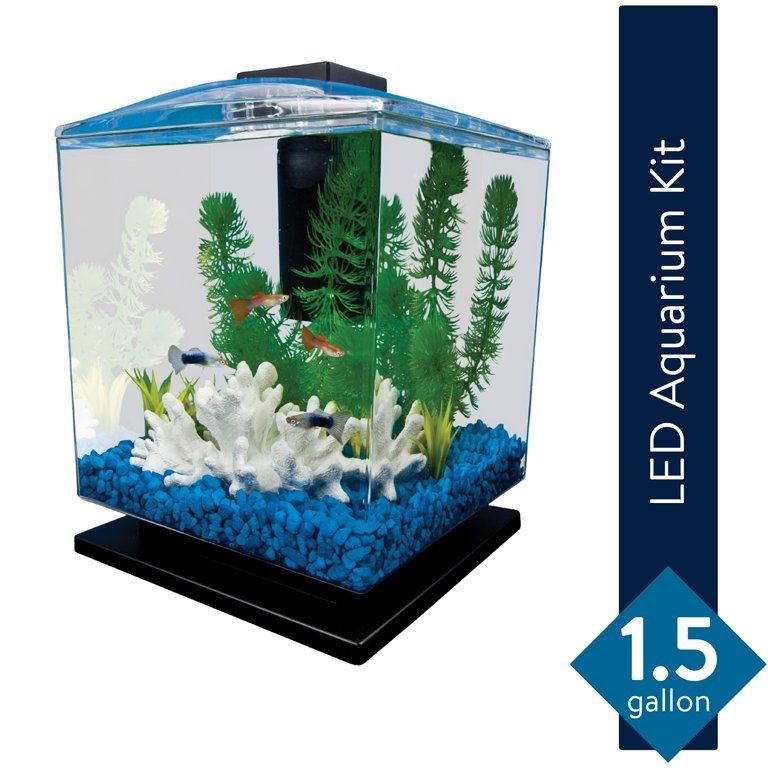 Fish tank (everything Included)