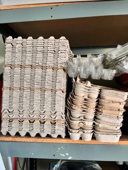 Egg carton