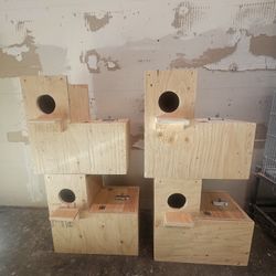 Nidos Para Green Cheek,sun Conure 