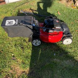 Gas Mower