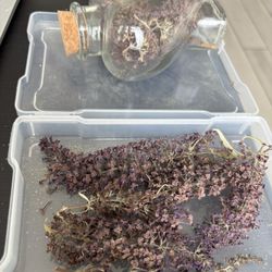 Butterfly Bush Flowers Dried