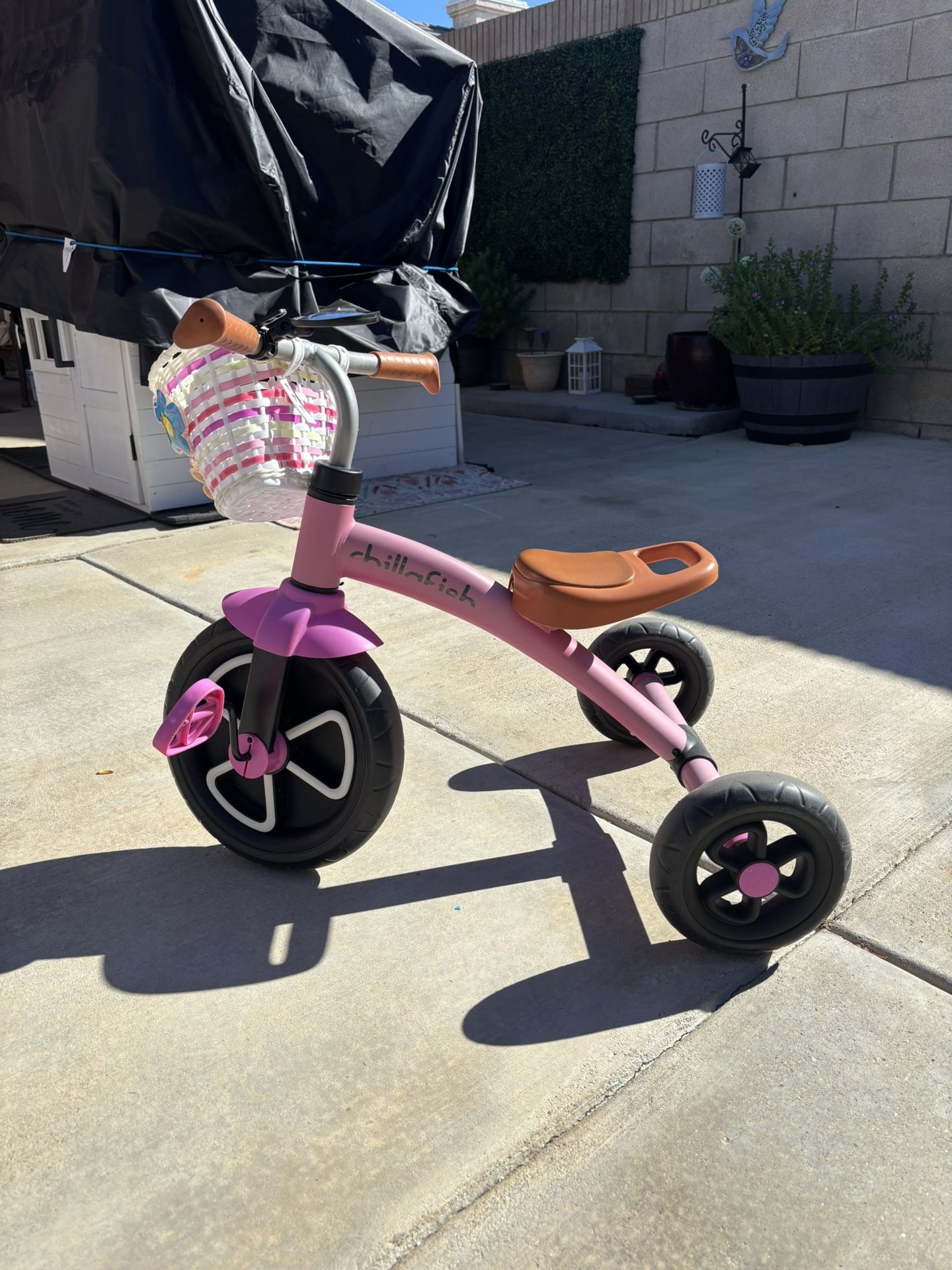 Little Girls Bike