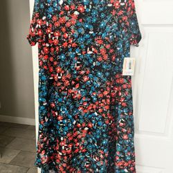 Women's Lularoe Dress Size 2X 