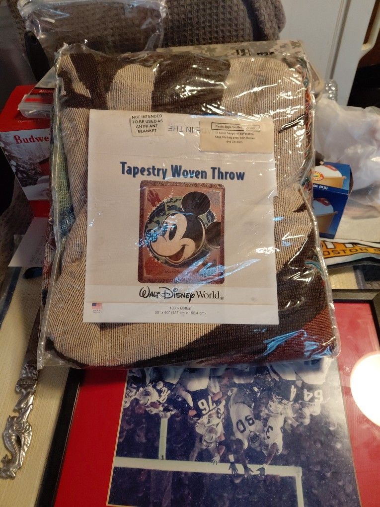 Walt Disney Wold Tapestry