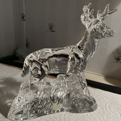 Princess House . Wonders of the wild .