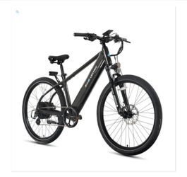Lectric XPress 750 Electric Bike