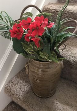 Flower in pot