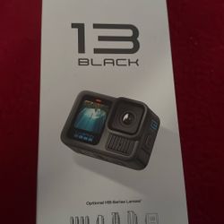 Go Pro 13black