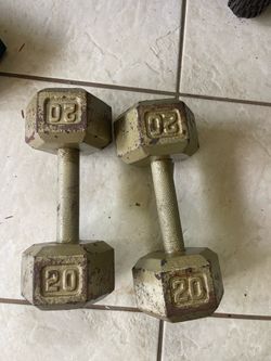 20lb Dumbbells