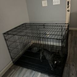Large Dog Cage