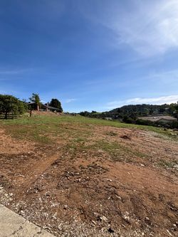 Brush clearing