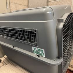 XL Dog crate