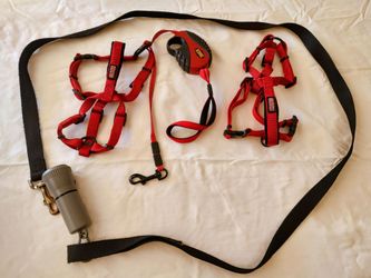 Small Dog Harness & Leash Bundle – KONG Red Harness + Leashes