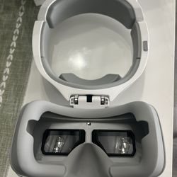 DJI Googles