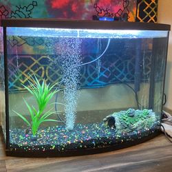 35-40 Gallon Bowed Fish Tank