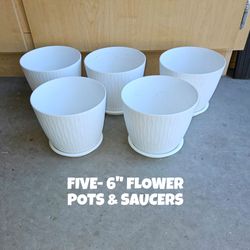 5- 6" FLOWER POTS AND SAUCERS