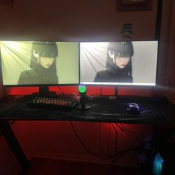 Dual Monitor Pc Setup