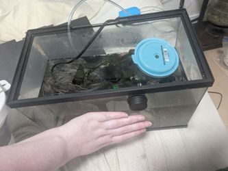 Free tank