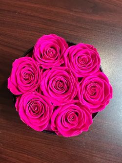 Roses in box - hot pink