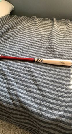 Marucci AM22