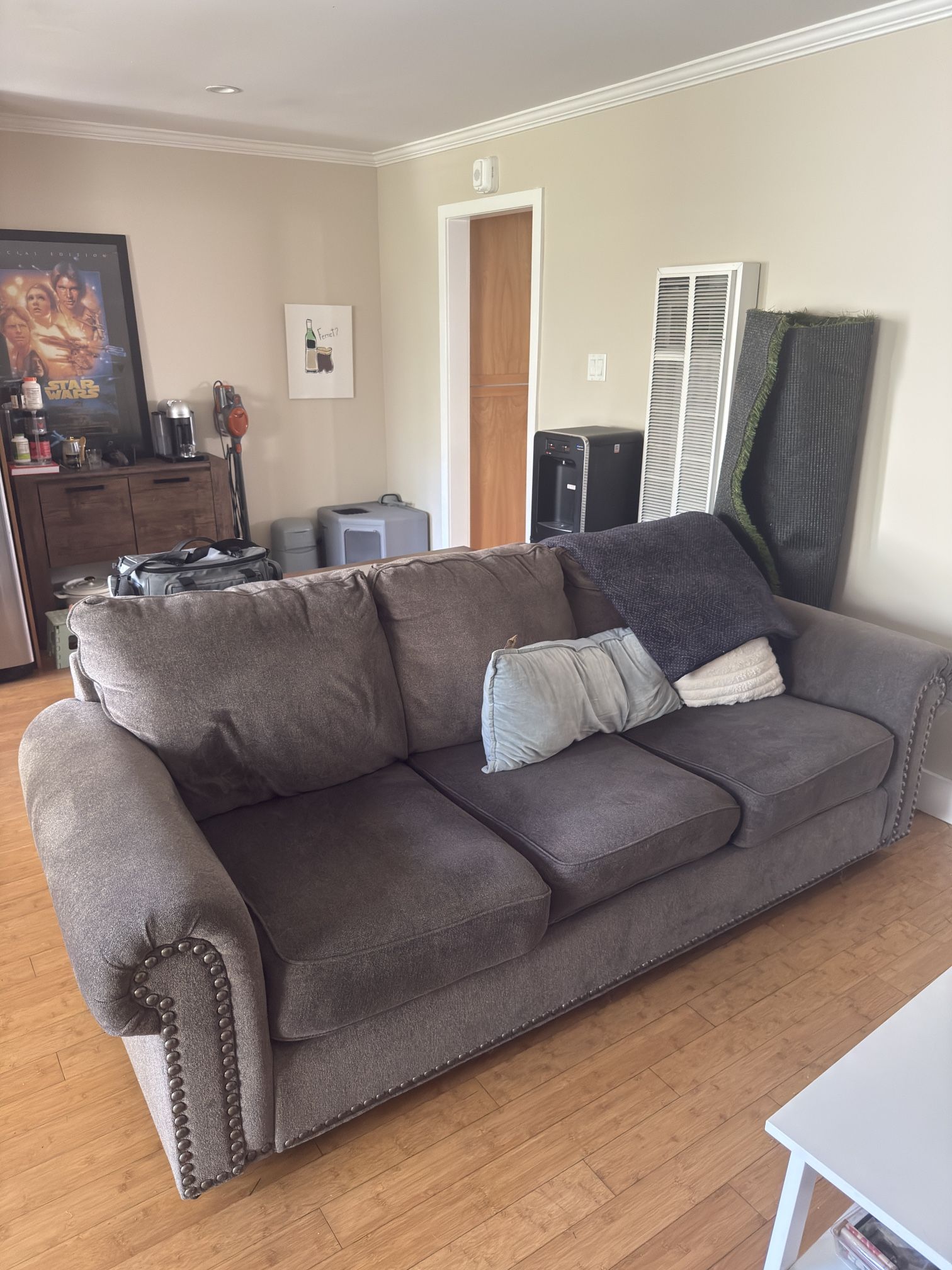 Living Spaces Sleeper Sofa