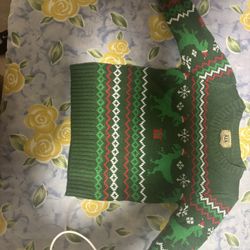 Dinosaur Christmas Sweater 2T
