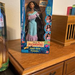 Disney’s Pocahontas Shining Braids 