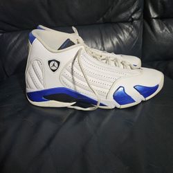 Nike AIR Jordan 14s shoes 