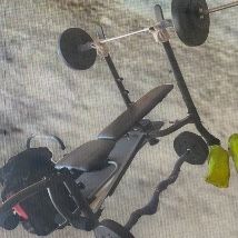 Weight Bench Free