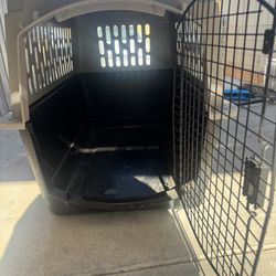 Large Dog Kennel