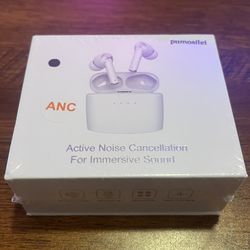 Noise Canceling Wireless Ear Buds - Brand New
