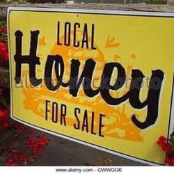 Raw Local Honey 