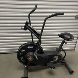 Schwinn Airdyne AD6 Exercise Bike 