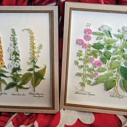 Set Of Two Wildflower Botanical Wall Art