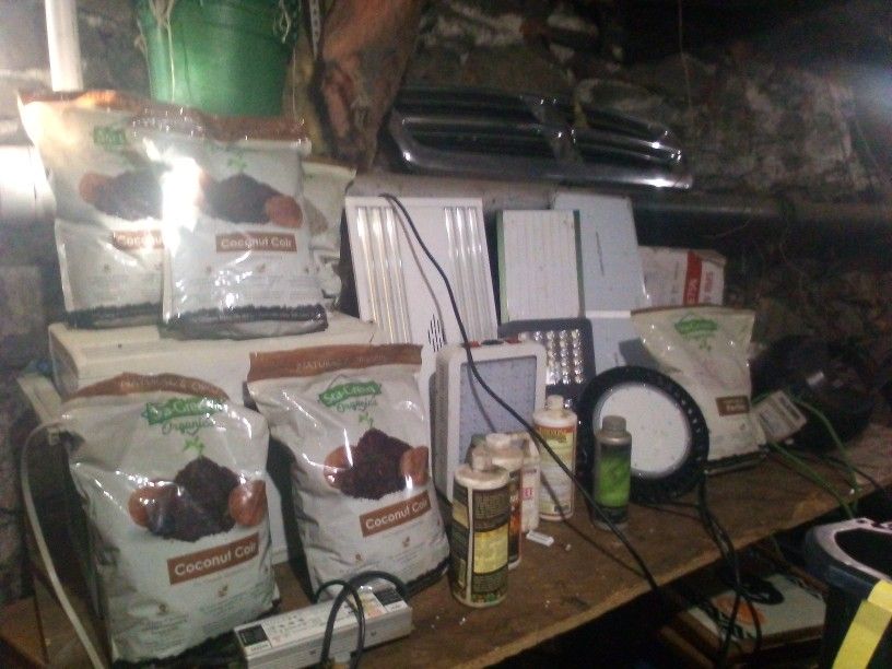 Grow Stuff