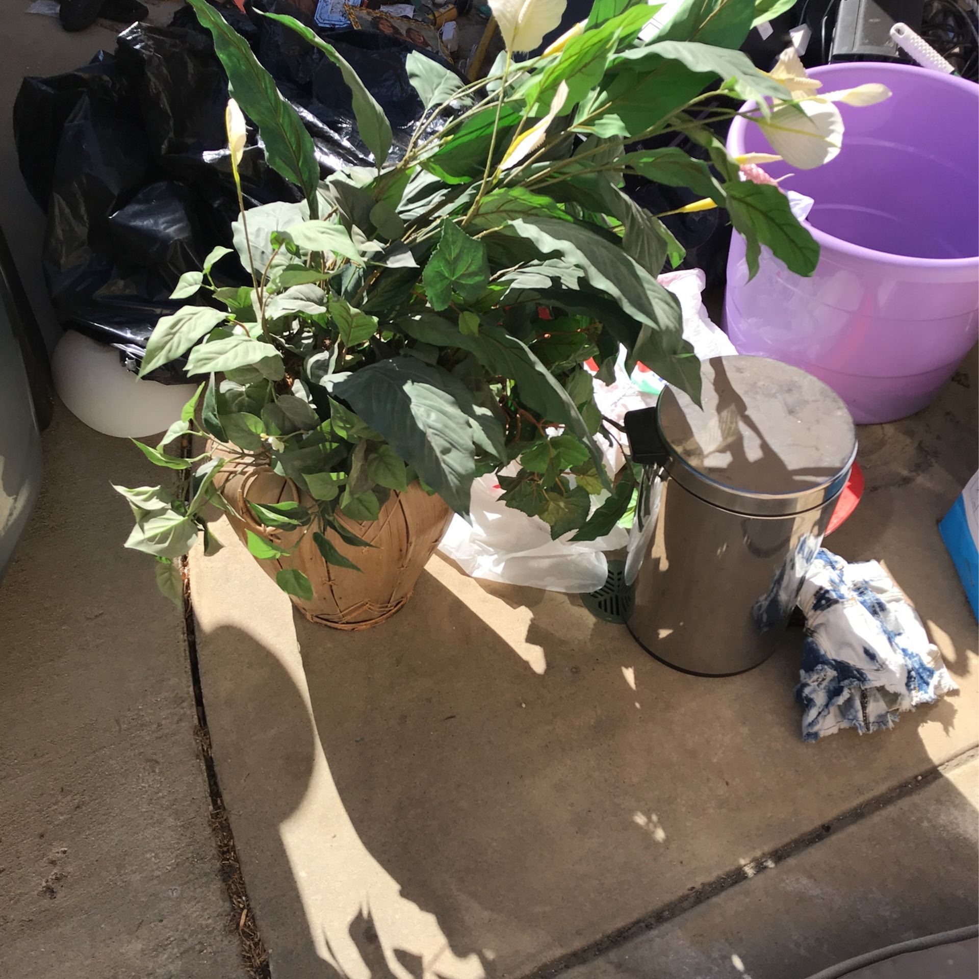 Fake plant 4.5 Ft