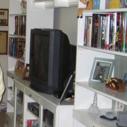 Ikea Entertainment Center & Shelving Unit