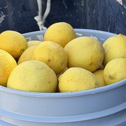Tengo limones amarillos a la venta