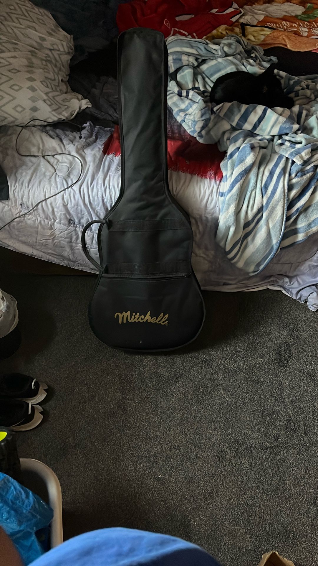 Mitchell Acoustic Guitar