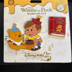 Winnie the Pooh 12 / 12  pin
