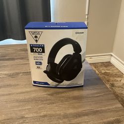 Turtle Beach Headset