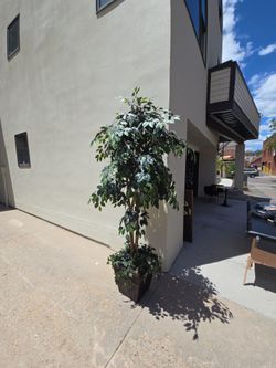 Fake tree 8ft