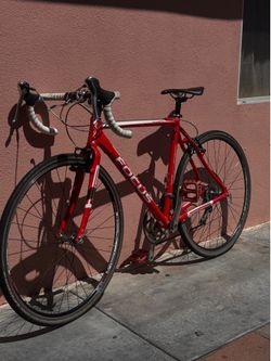 Focus racing Bike