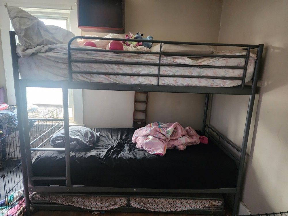 Twinl Bunk Beds
