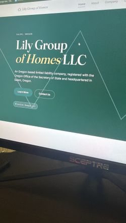 Cheap professional website builder