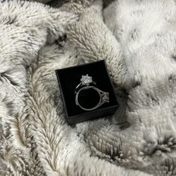 Titanium Gold Plated 