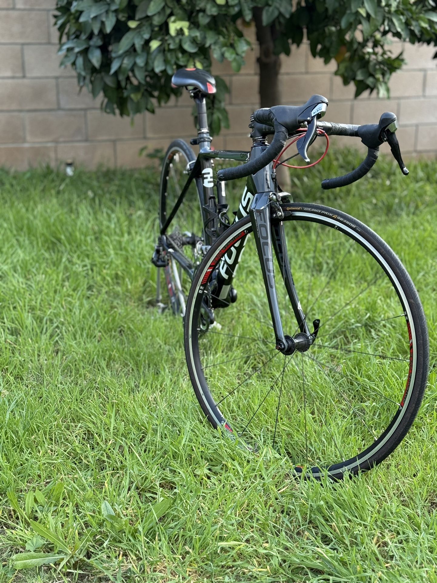 Carbon Road Bike Size Small