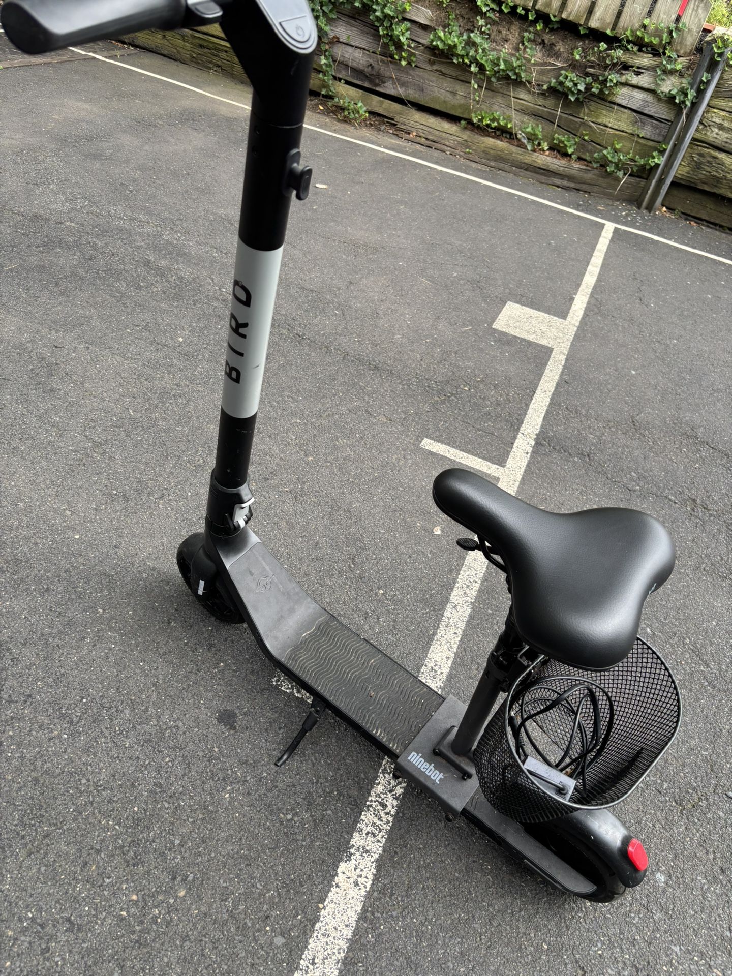 Used Bird Flex E-Scooter