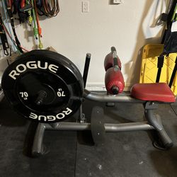 Nautilus Calf Machine 